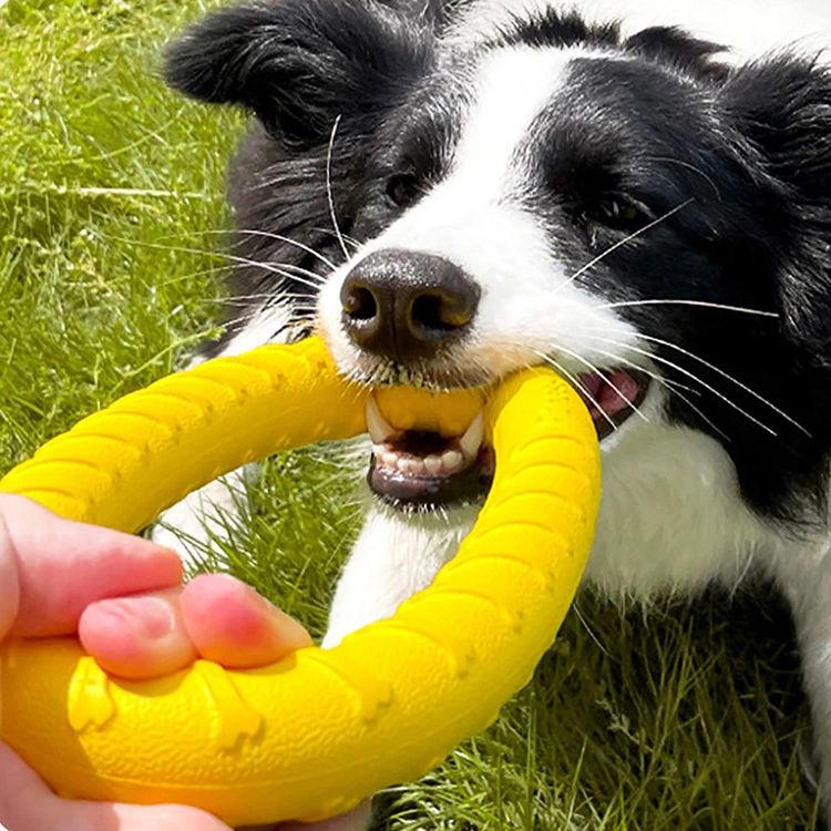 Eva Pet Ring Toy