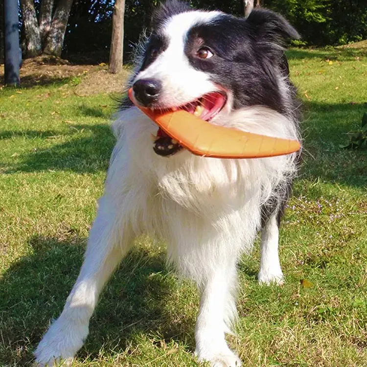 Eva Pet Dart: A Guide ad eligendum tutum et fun Dog Toy